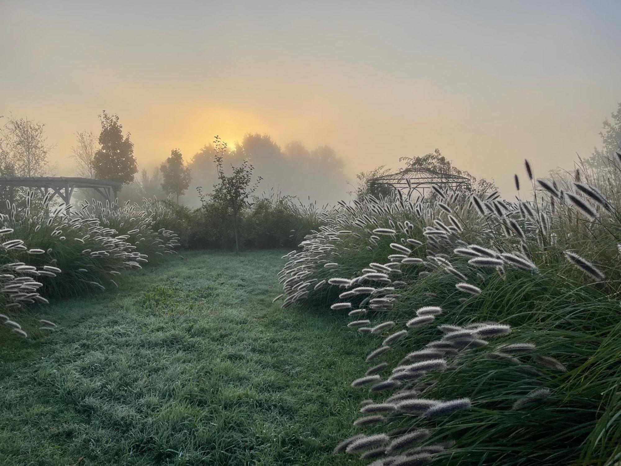 Alwine - Landhaus An Den Spreewiesen Rietz Neuendorf Esterno foto