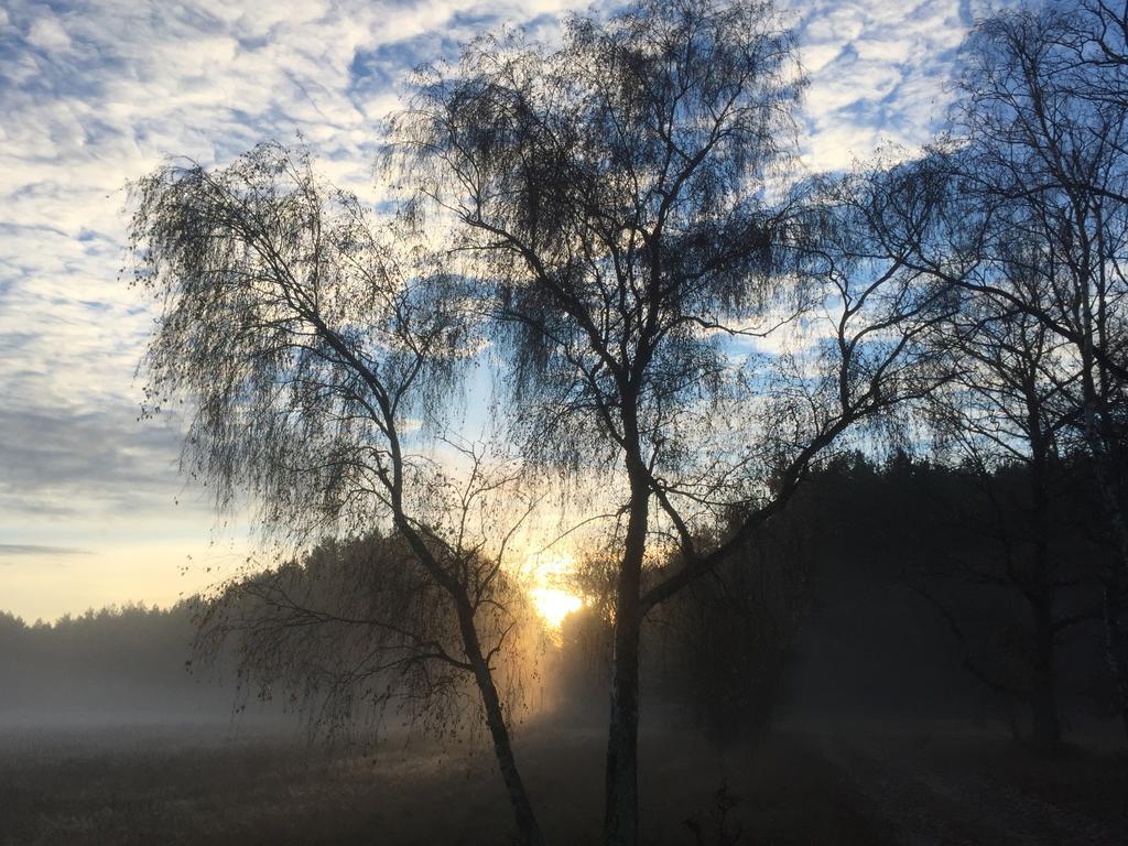 Alwine - Landhaus An Den Spreewiesen Rietz Neuendorf Esterno foto