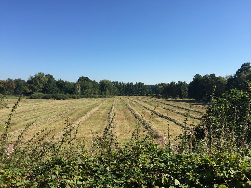 Alwine - Landhaus An Den Spreewiesen Rietz Neuendorf Esterno foto