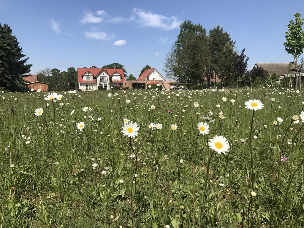Alwine - Landhaus An Den Spreewiesen Rietz Neuendorf Esterno foto